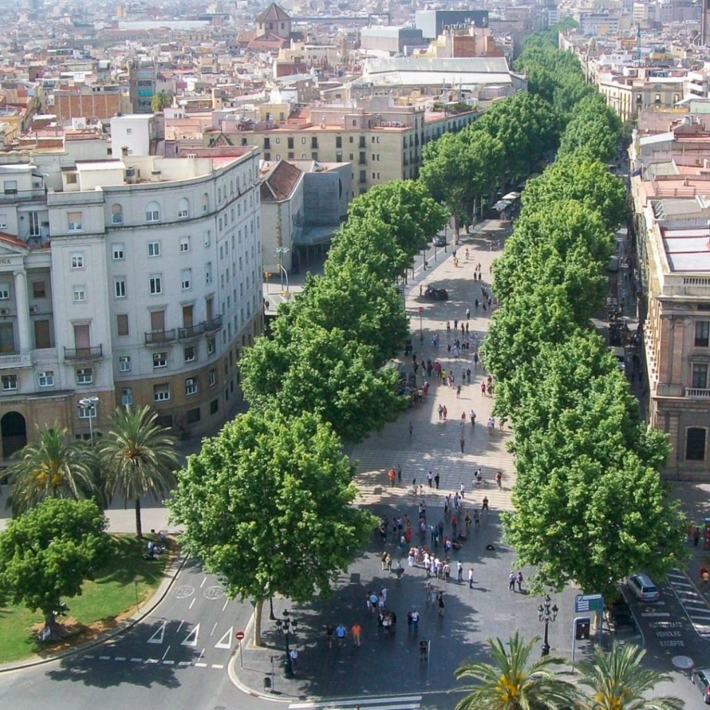 your essential barcelona travel guide