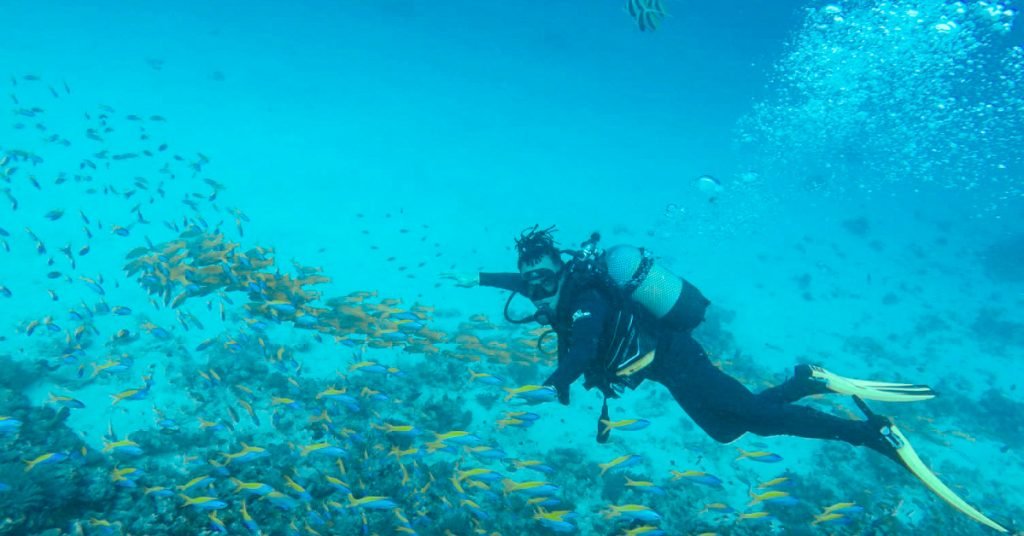 Mnemba Atoll