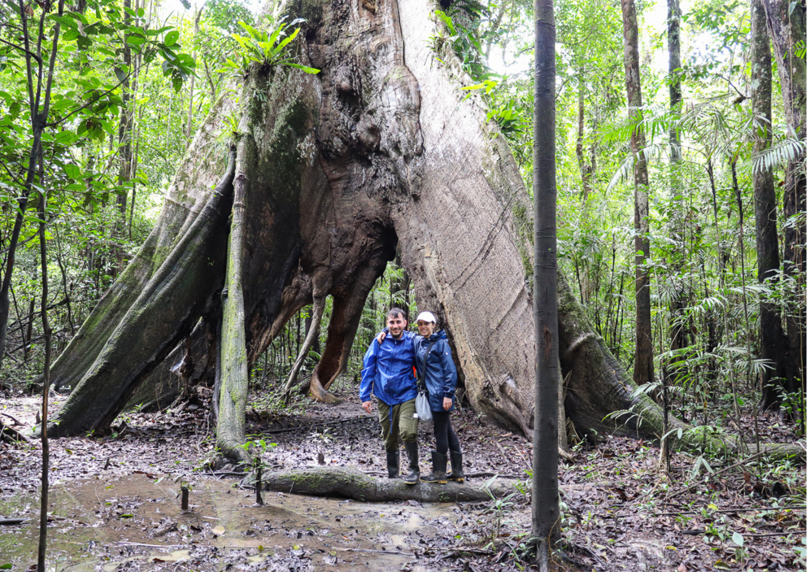 Peruvian Amazon Rainforest Tour