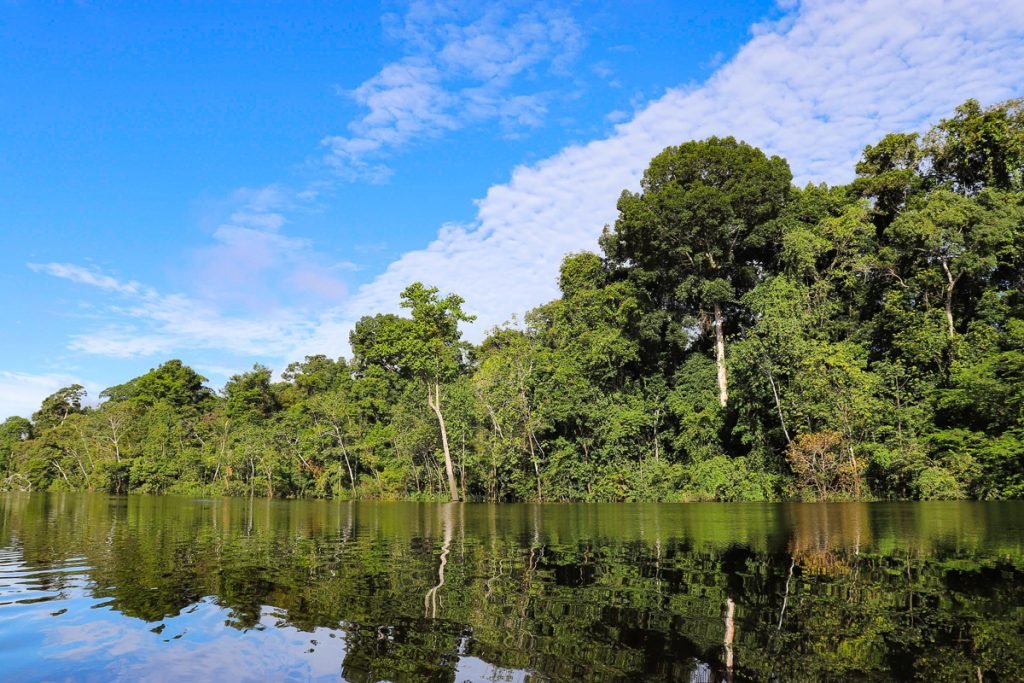 peruvian amazon rainforest tour