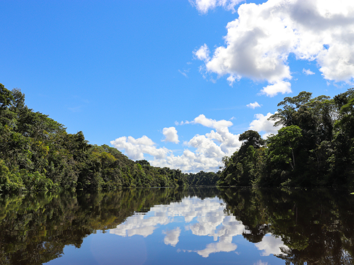 Peruvian Amazon Rainforest Tour - Next Trip...Loading