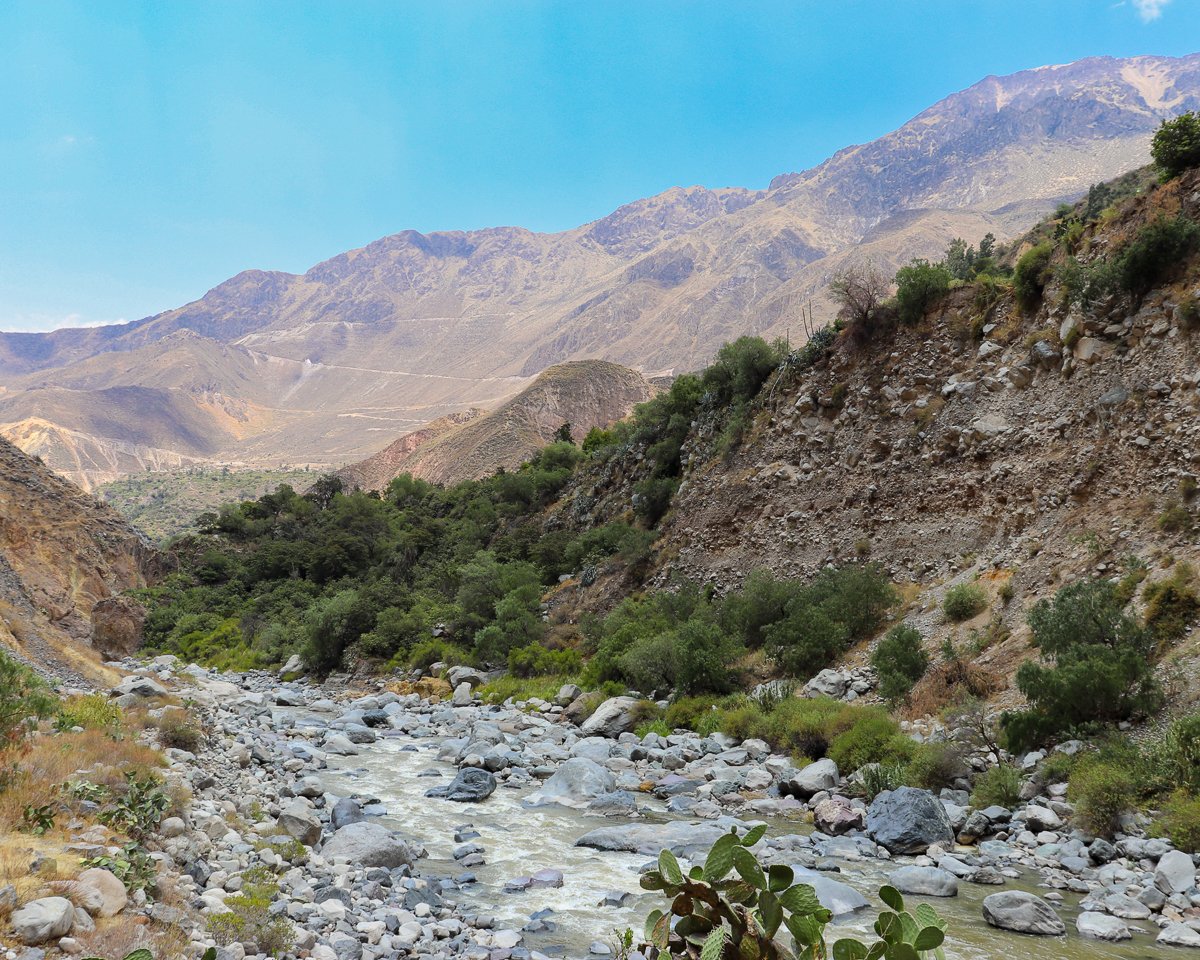 colca canyon tour next trip loading