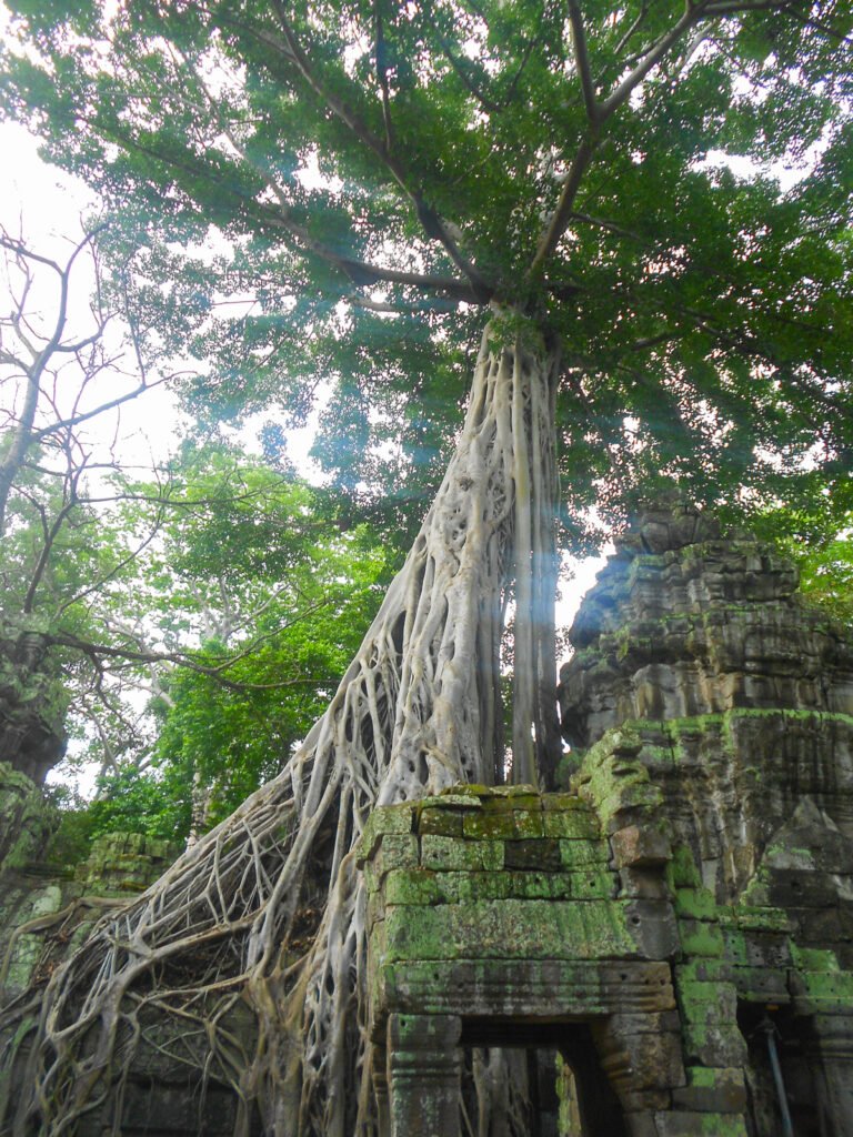 best things to visit cambodia