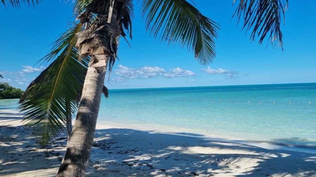 isla contoy mexico itinerary